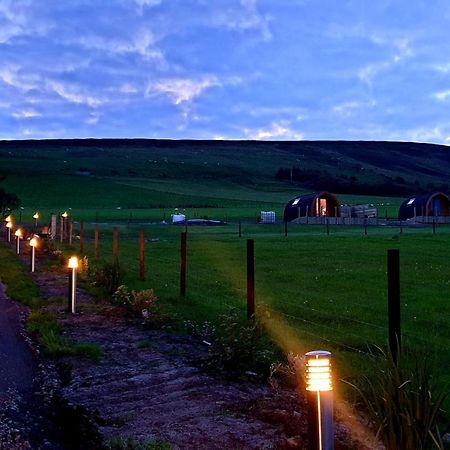 Lilly'S Lodges Orkney Hedgehog Lodge Finstown المظهر الخارجي الصورة
