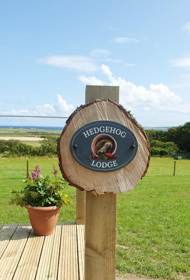 Lilly'S Lodges Orkney Hedgehog Lodge Finstown المظهر الخارجي الصورة