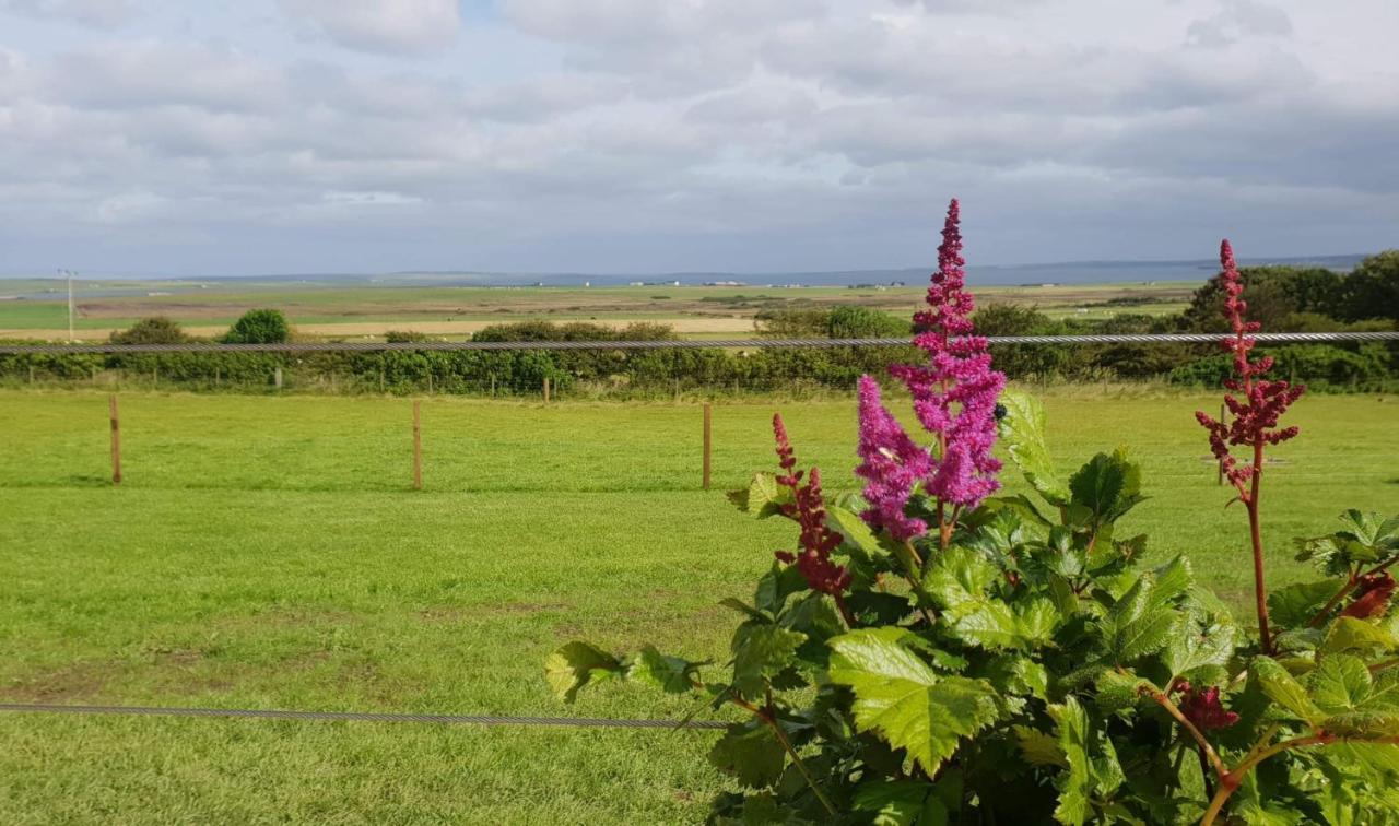 Lilly'S Lodges Orkney Hedgehog Lodge Finstown المظهر الخارجي الصورة
