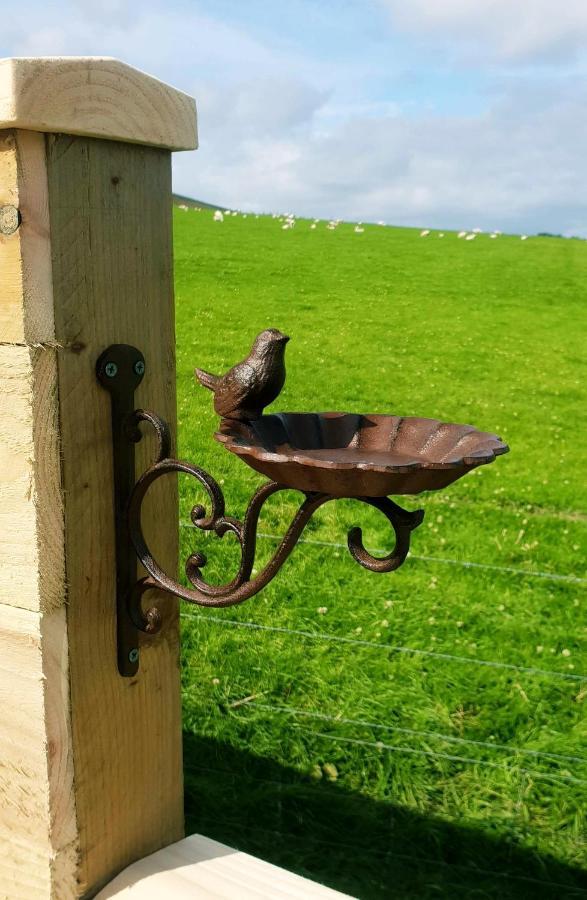 Lilly'S Lodges Orkney Hedgehog Lodge Finstown المظهر الخارجي الصورة