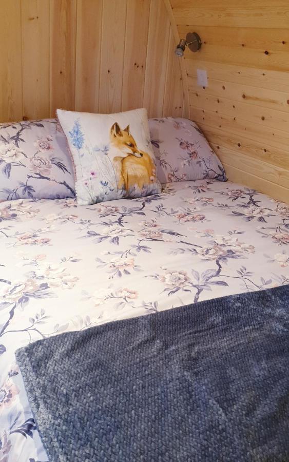 Lilly'S Lodges Orkney Hedgehog Lodge Finstown المظهر الخارجي الصورة